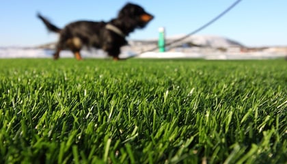 Pet Areas